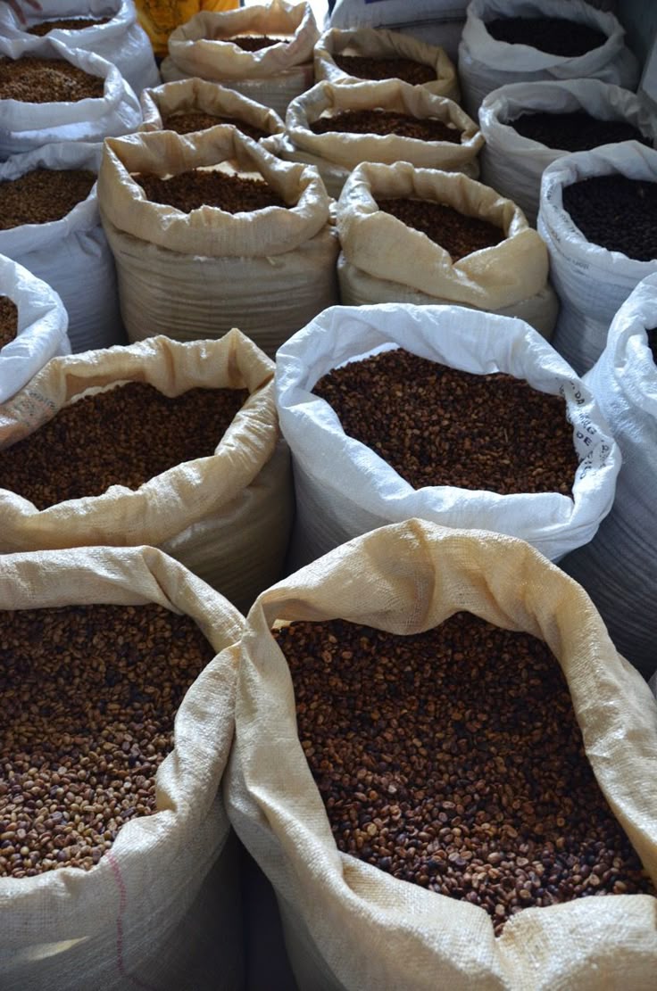 Sacks of raw coffee beans
